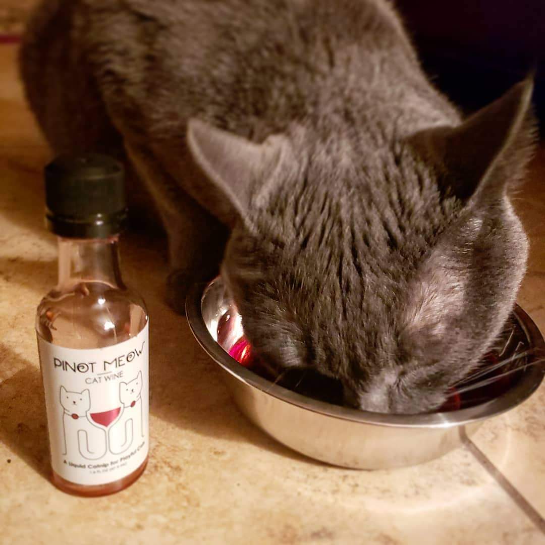 Apollo Peak Pinot Meow Cat Wine Liquid Catnip For Cats
