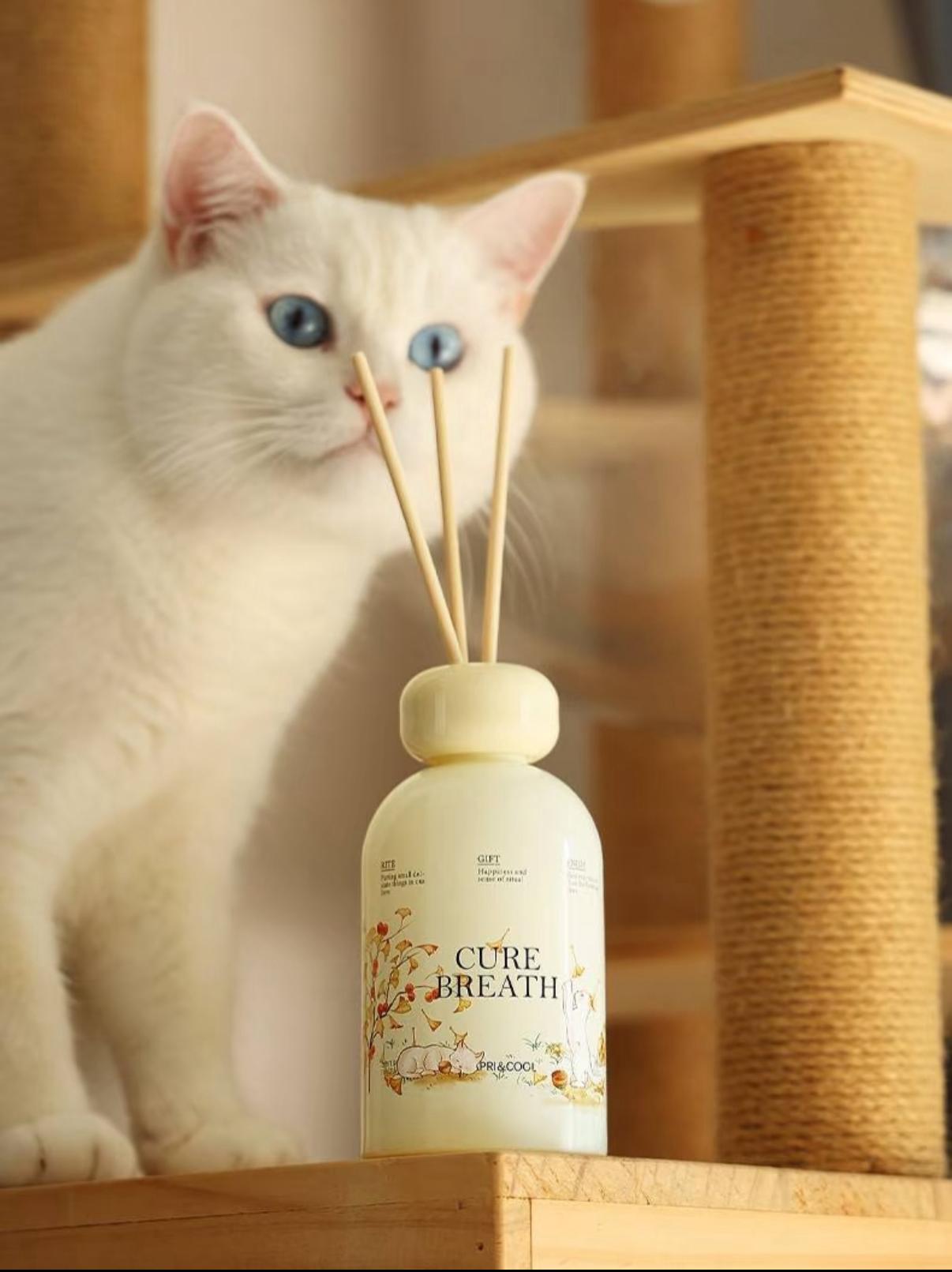 Cat-Inspired Diffuser